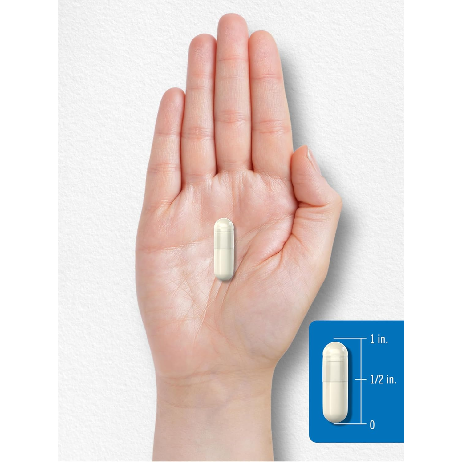 Carlyle Enzimas Digestivas Con Prebioticos Y Probioticos 180 Capsulas