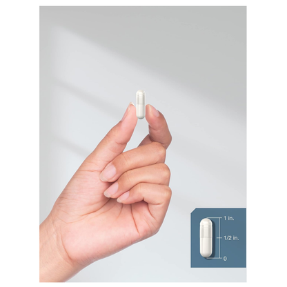 Horbaach MSM 2000Mg 250 Capsulas