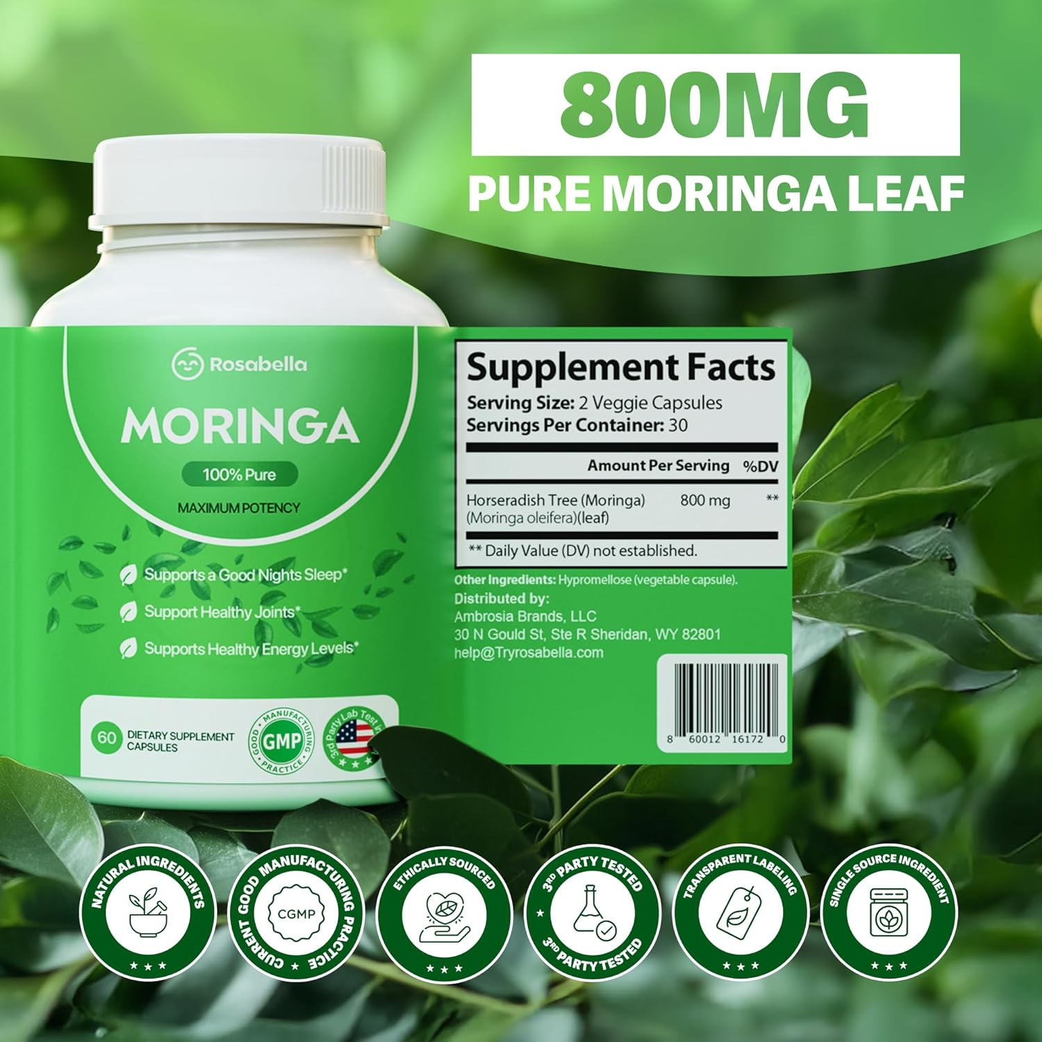 Rosabella Moringa 100% Puro 60 Capsulas